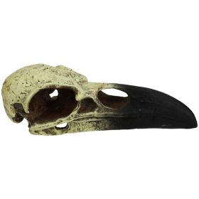 KOM HIDEOUT RAVEN SKULL LG 8IN