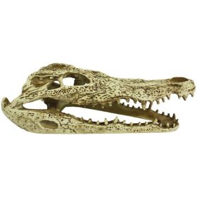 KOM HIDEOUT ALLIGATOR SKULL9IN